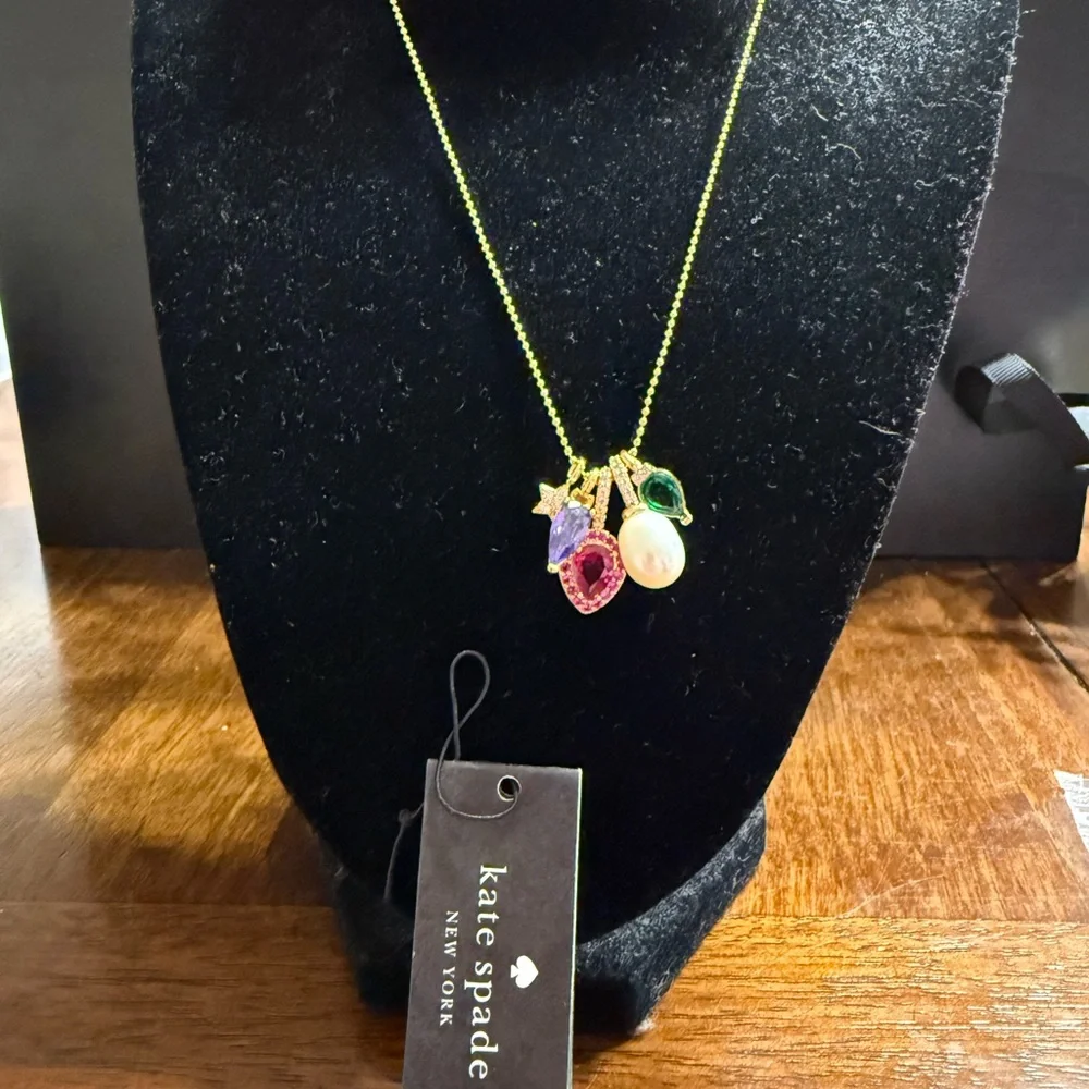 kate spade nwt kate
